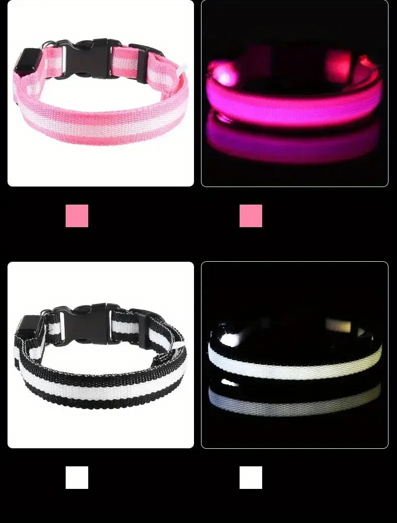 CURAPETS Luminous LED Night Safety Collar