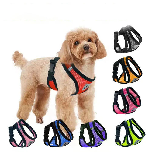 CURAPETS AirLite Summer Pet Harness & Leash Set