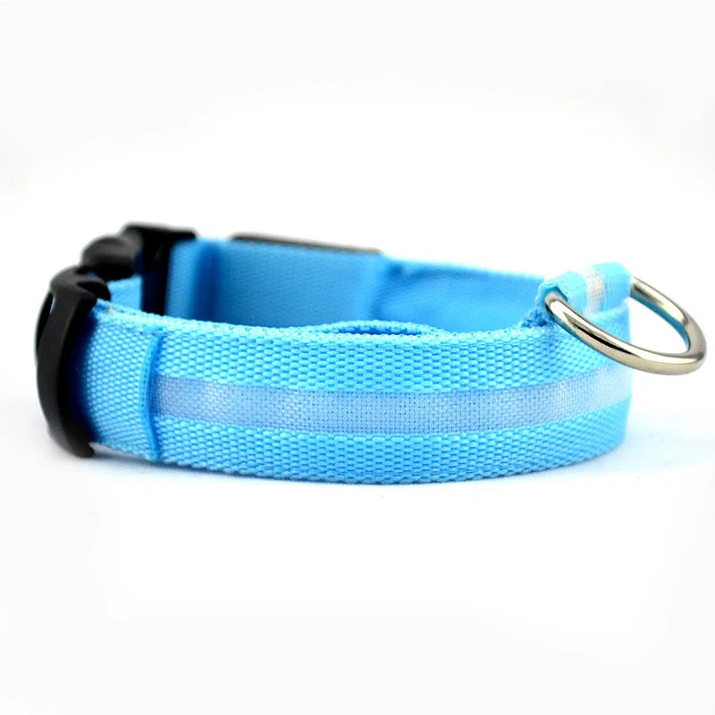 CURAPETS Luminous LED Night Safety Collar