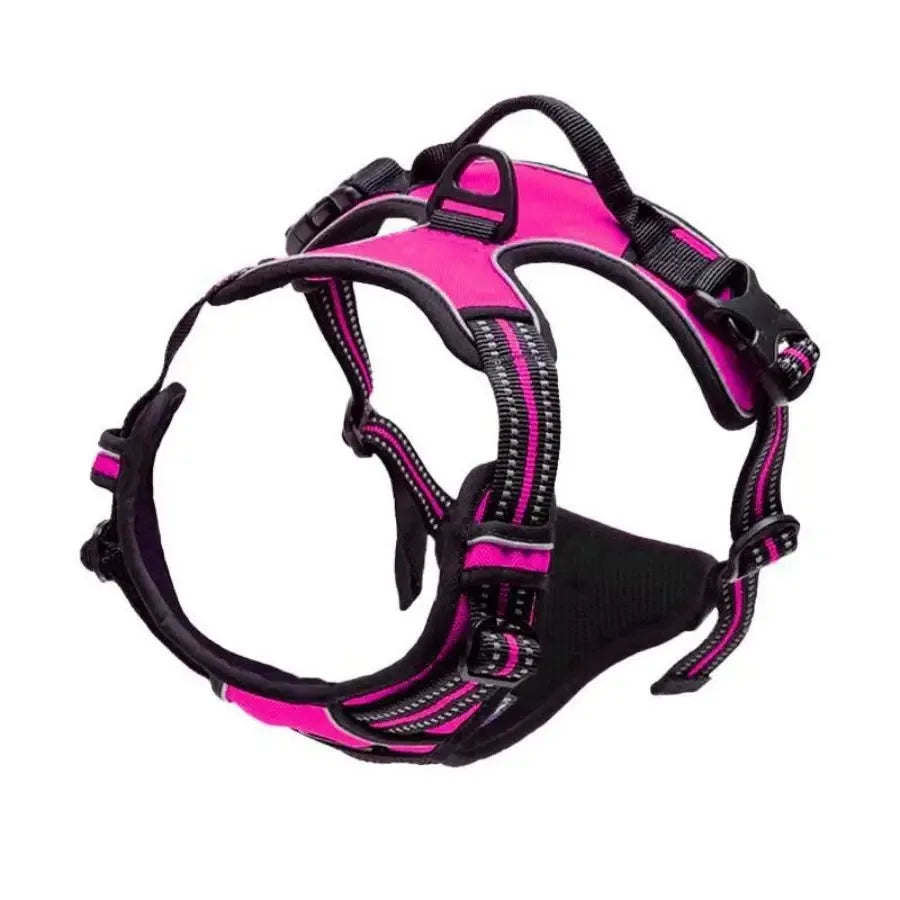 CURAPETS Leather Vest Harness & Leash Set