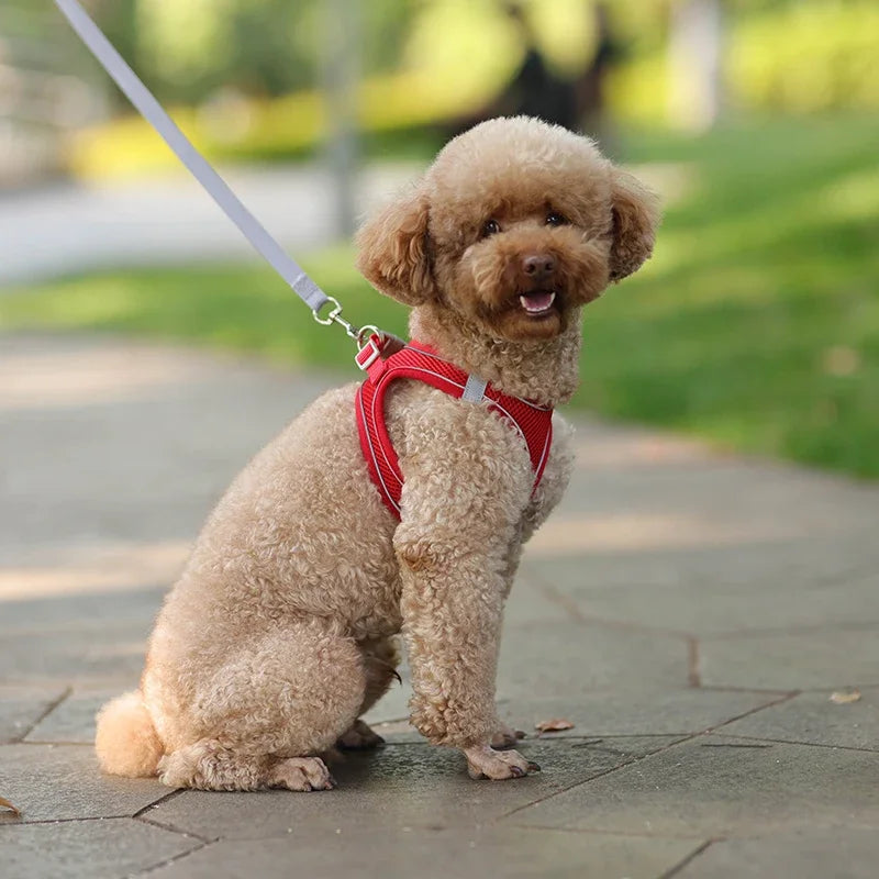 CURAPETS Reflective Puppy Harness & Leash Set