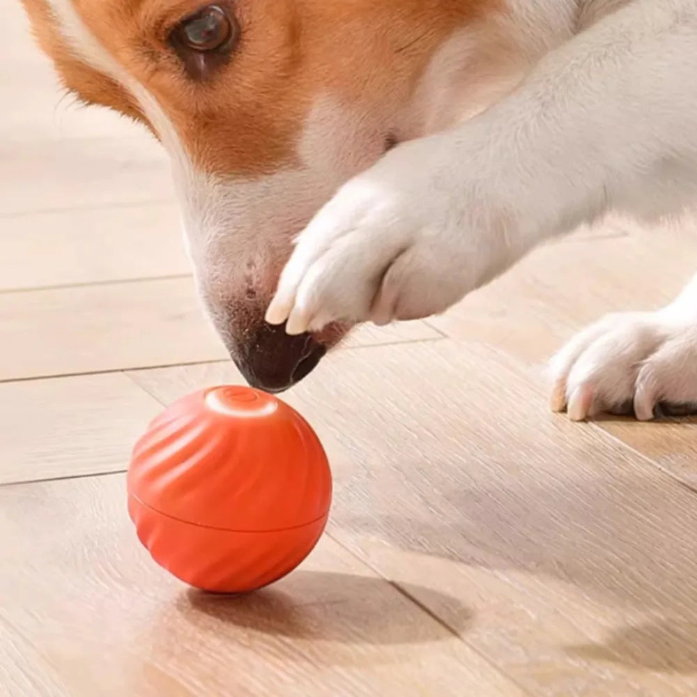 CURAPETS Smart Jumping Dog Toy Ball