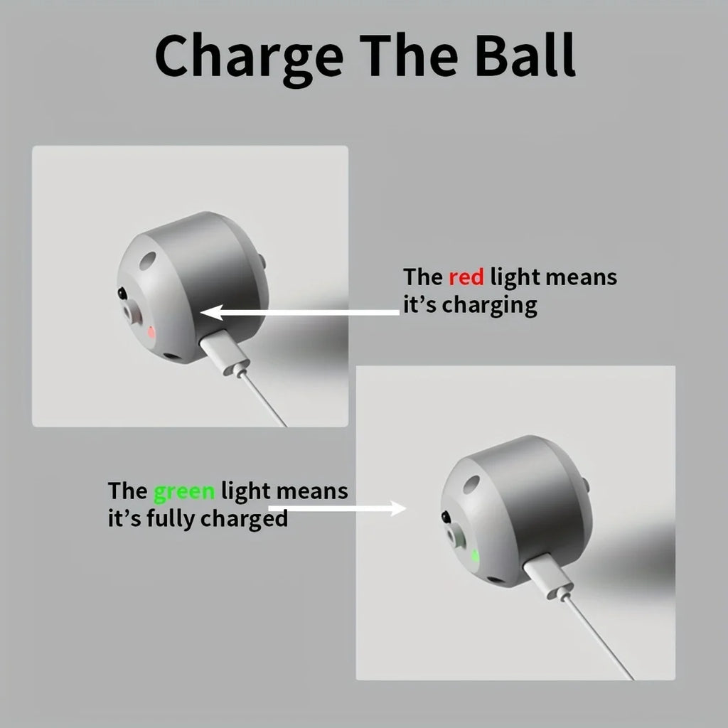 CURAPETS LumaBounce Interactive LED Toy Ball