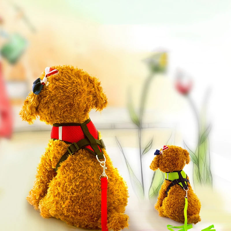 CURAPETS AirLite Summer Pet Harness & Leash Set