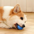 CURAPETS Smart Jumping Dog Toy Ball