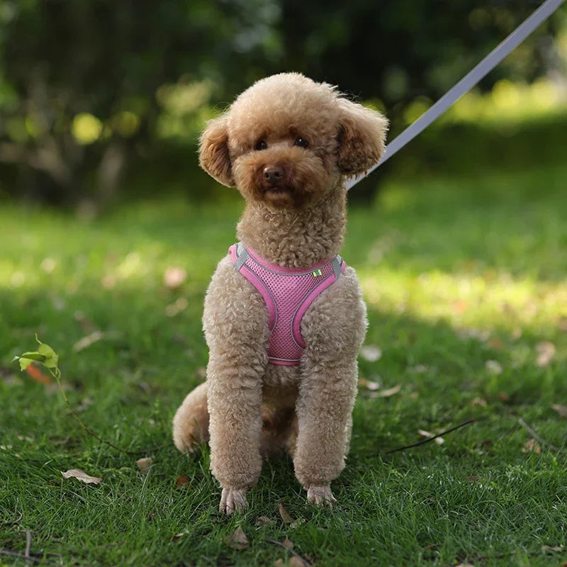 CURAPETS Reflective Puppy Harness & Leash Set