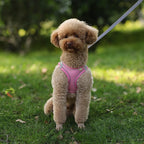 CURAPETS Reflective Puppy Harness & Leash Set