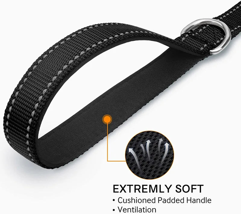 CURAPETS Night Reflective Training Lead Leash
