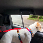 CURAPETS Adjustable Pet Car Seat Belt Harness