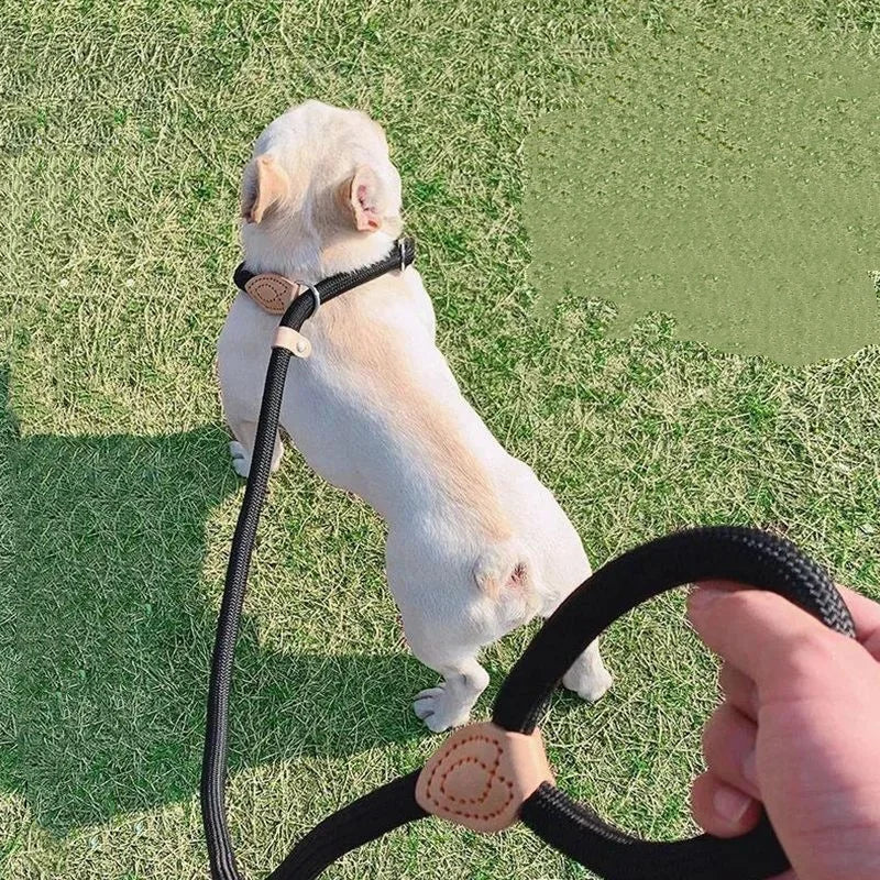 CURAPETS Braided Slip Rope Training Leash