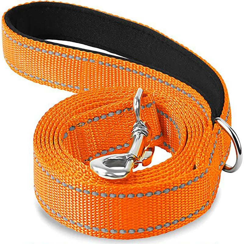 CURAPETS Night Reflective Training Lead Leash