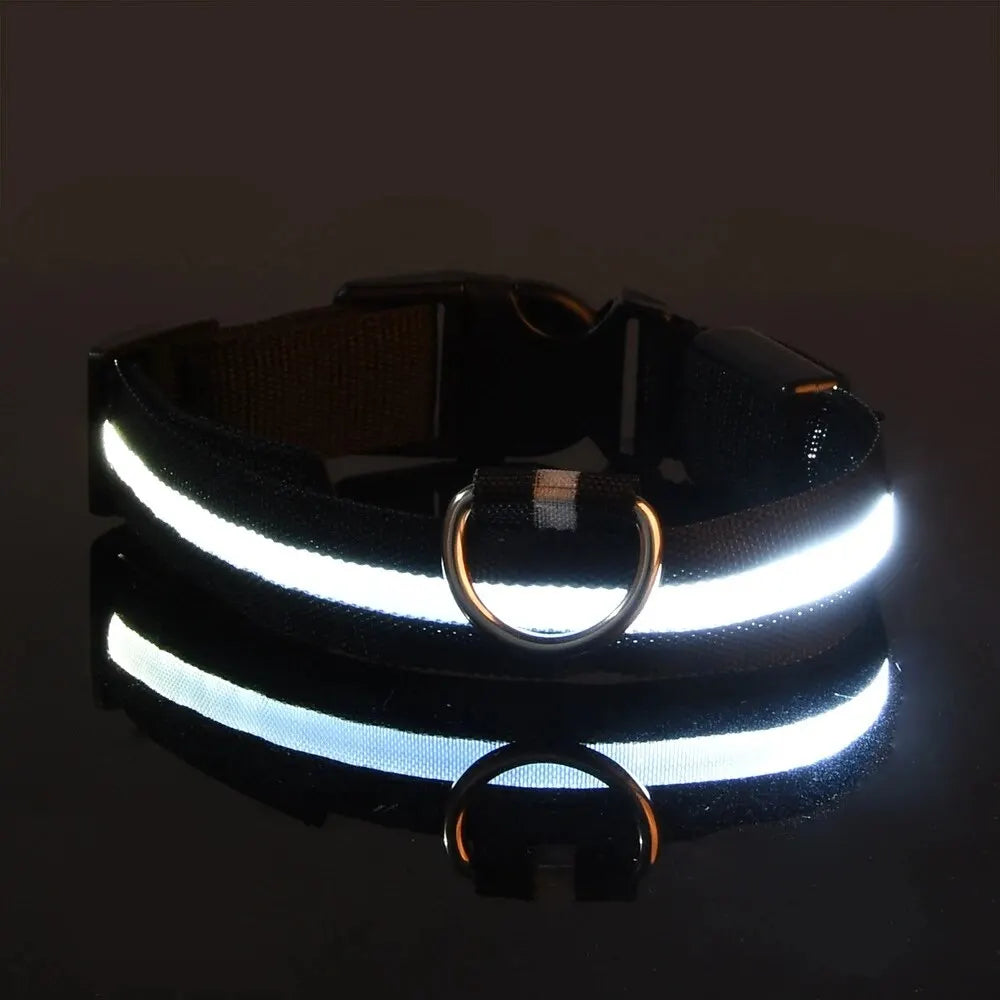 CURAPETS Luminous LED Night Safety Collar