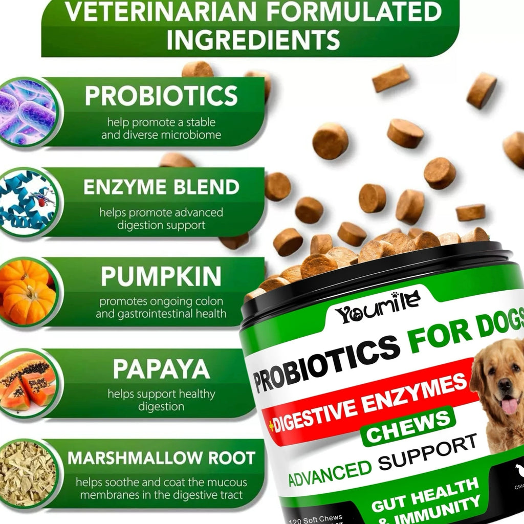 CURAPETS Digestive Support Probiotic Chews for Dogs