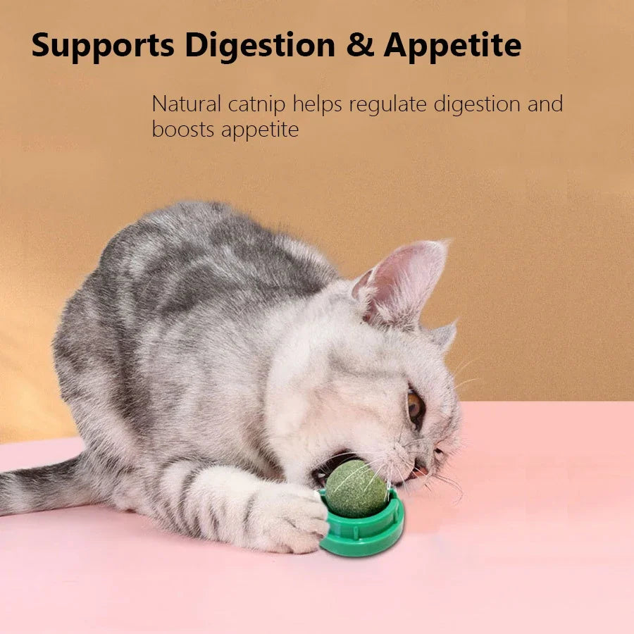 CURAPETS Spinning Catnip Dental Toy