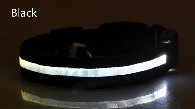 CURAPETS Luminous LED Night Safety Collar