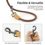 CURAPETS Hands-Free Running Dog Leash