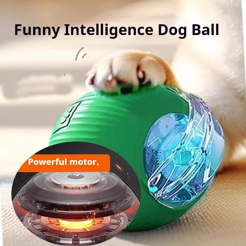CURAPETS Smart Rolling Interactive Pet Ball