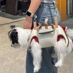 CURAPETS Outdoor Comfort Pet Carrier Bag