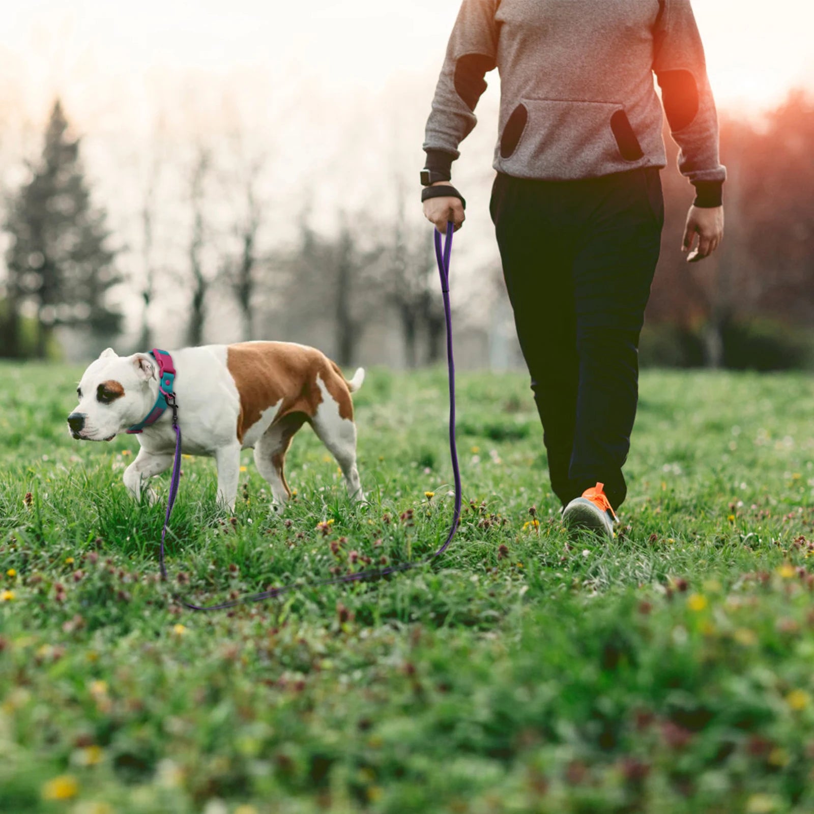 CURAPETS Dual-Color Long Training Leash