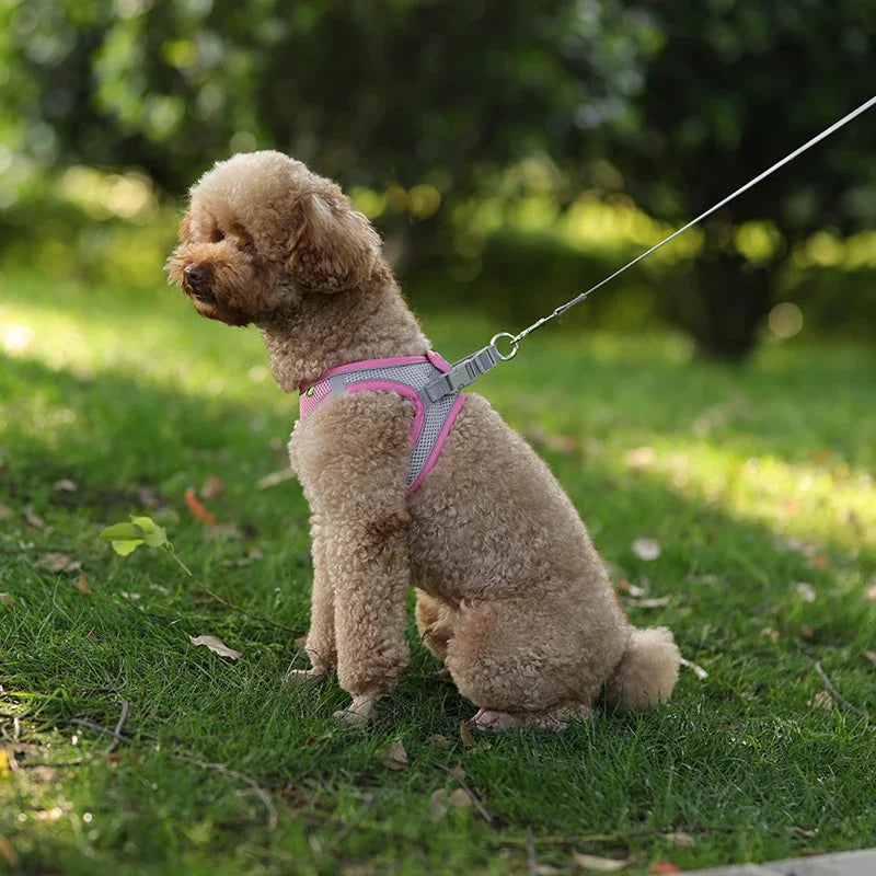 CURAPETS Reflective Puppy Harness & Leash Set