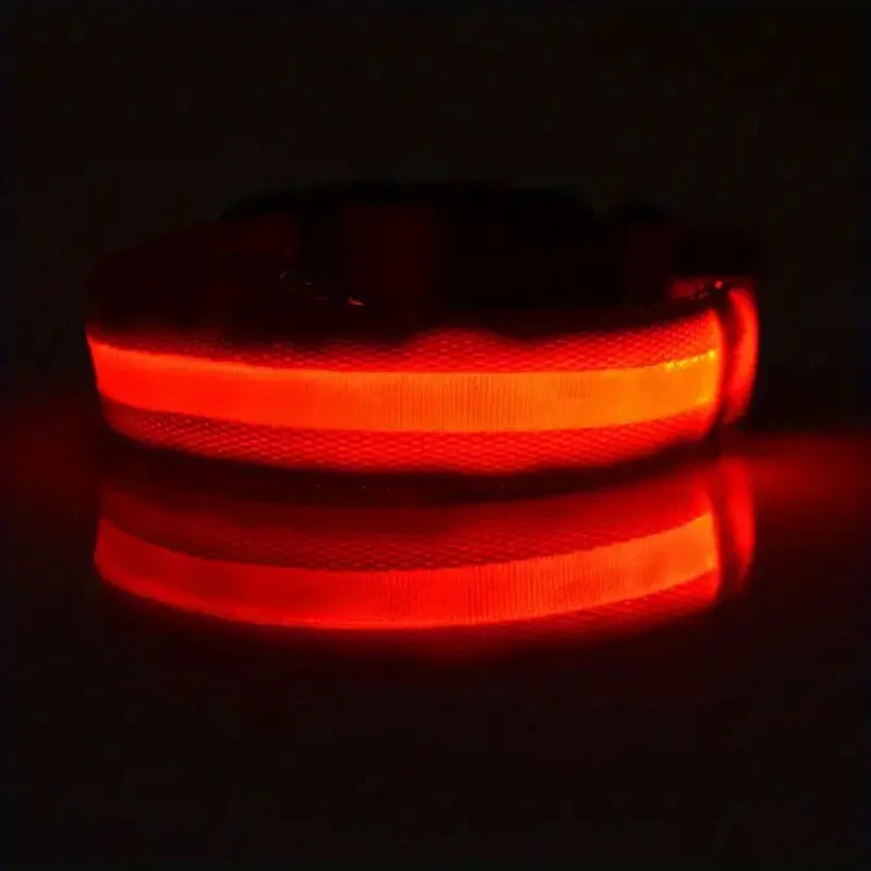 CURAPETS Luminous LED Night Safety Collar