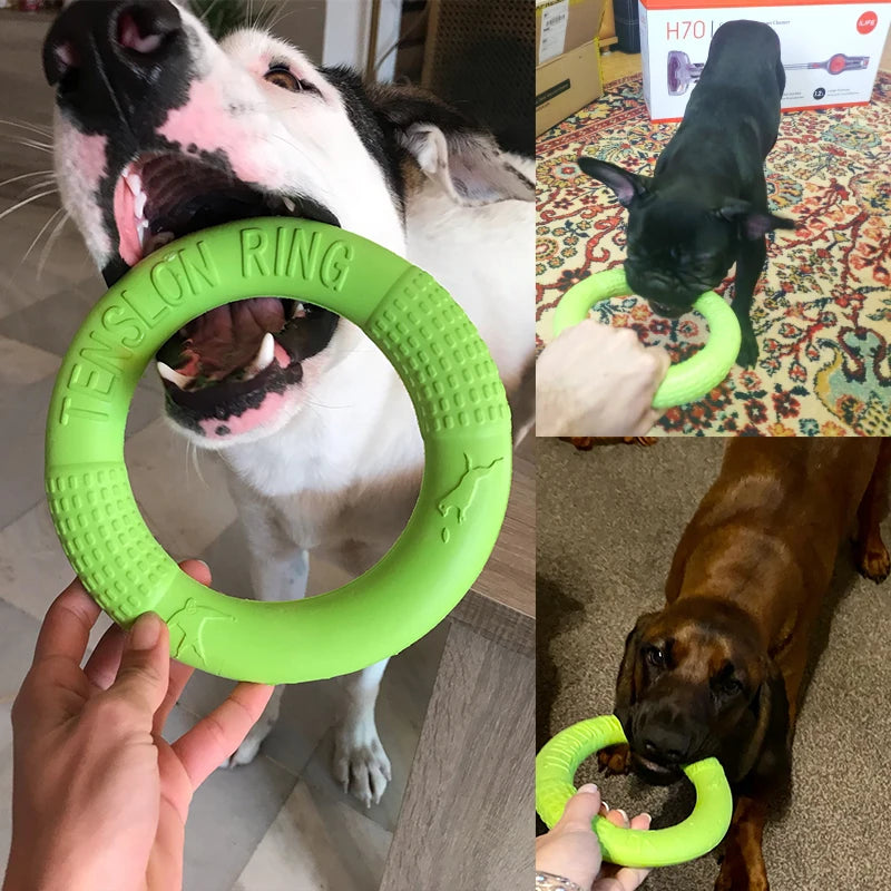 CURAPETS Ring Puller Dog Training Toy