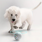 CURAPETS LumaBounce Interactive LED Toy Ball