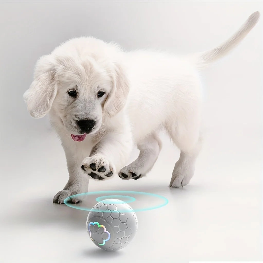 CURAPETS LumaBounce Interactive LED Toy Ball