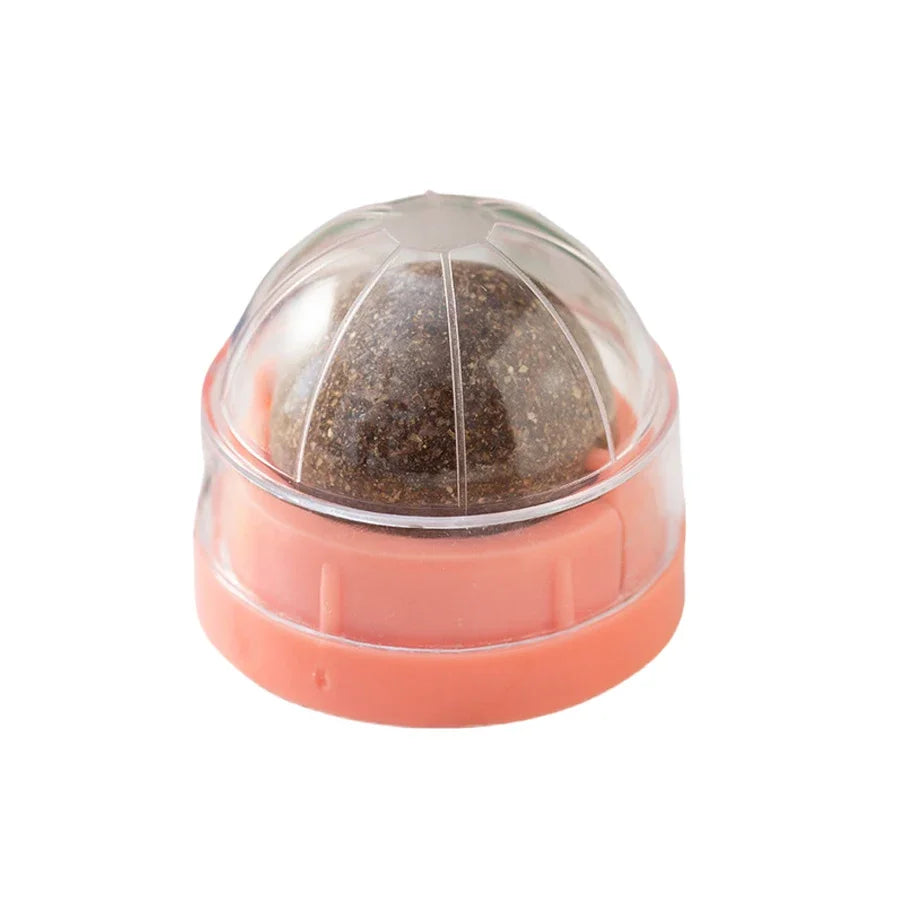 CURAPETS Spinning Catnip Dental Toy