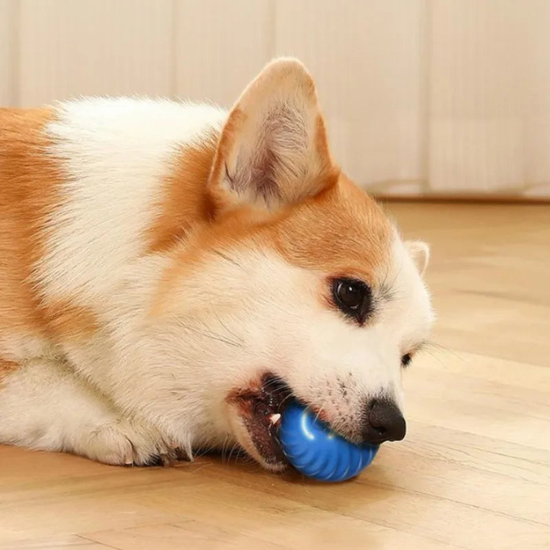 CURAPETS Smart Jumping Dog Toy Ball