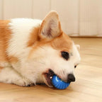 CURAPETS Smart Jumping Dog Toy Ball