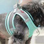 CURAPETS Reflective Puppy Harness & Leash Set