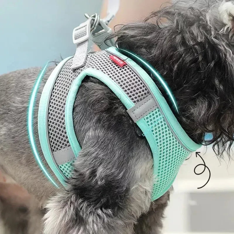 CURAPETS Reflective Puppy Harness & Leash Set