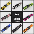 CURAPETS Everyday Harness & Leash Set