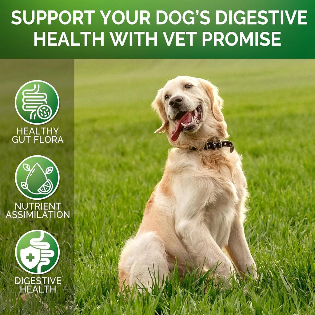 CURAPETS Digestive Support Probiotic Chews for Dogs