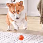 CURAPETS Smart Jumping Dog Toy Ball