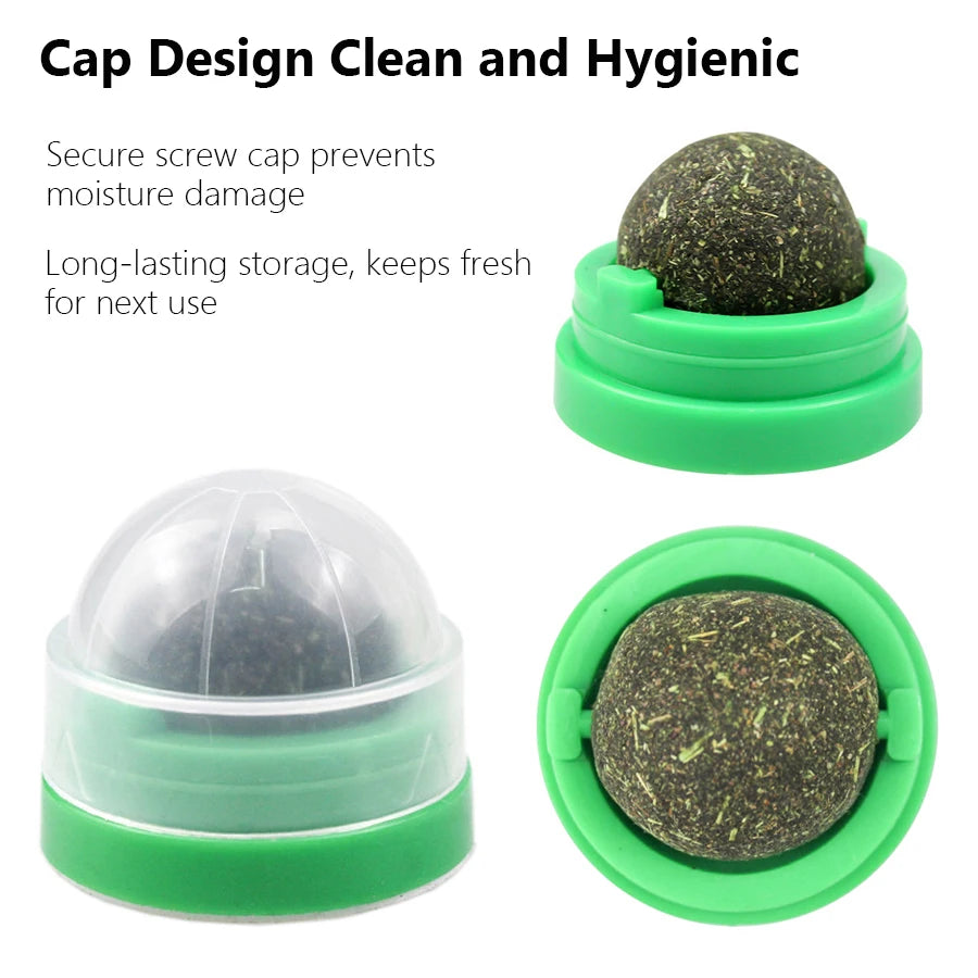 CURAPETS Spinning Catnip Dental Toy