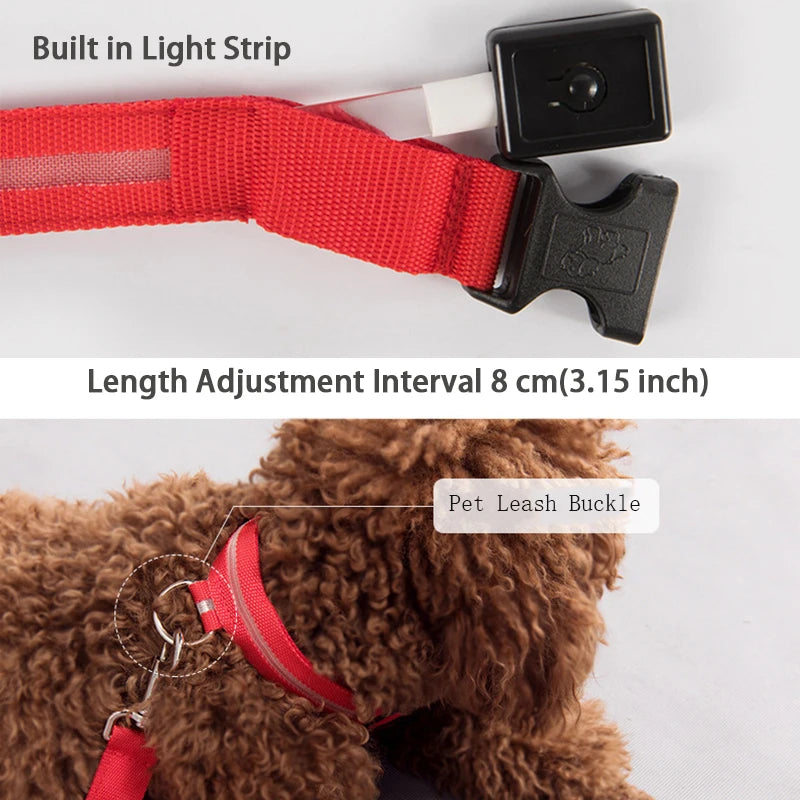 CURAPETS Luminous LED Night Safety Collar