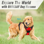 CURAPETS Leather Vest Harness & Leash Set