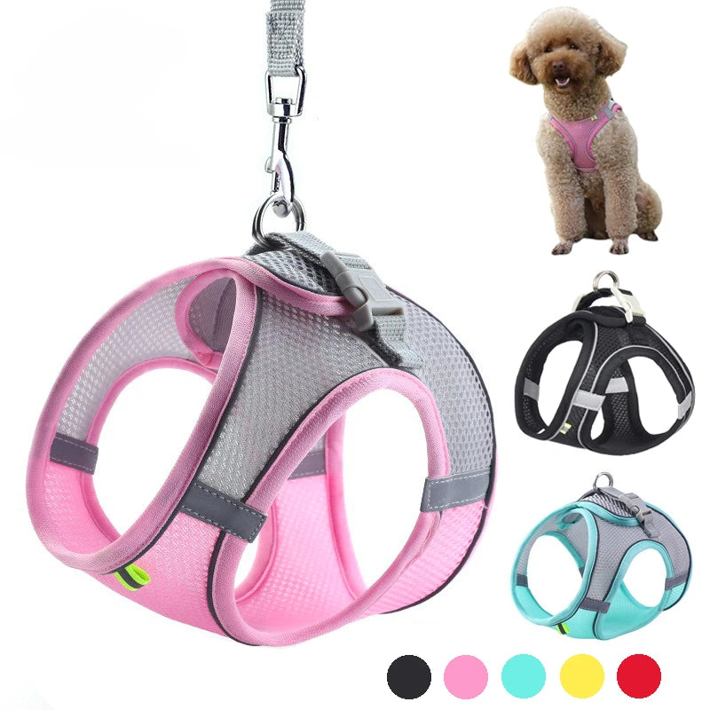 CURAPETS Reflective Puppy Harness & Leash Set