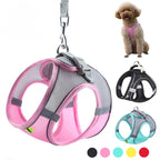 CURAPETS Reflective Puppy Harness & Leash Set