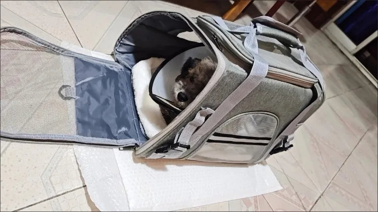 CURAPETS Foldable Mesh Pet Travel Carrier
