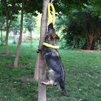 CURAPETS Ring Puller Dog Training Toy