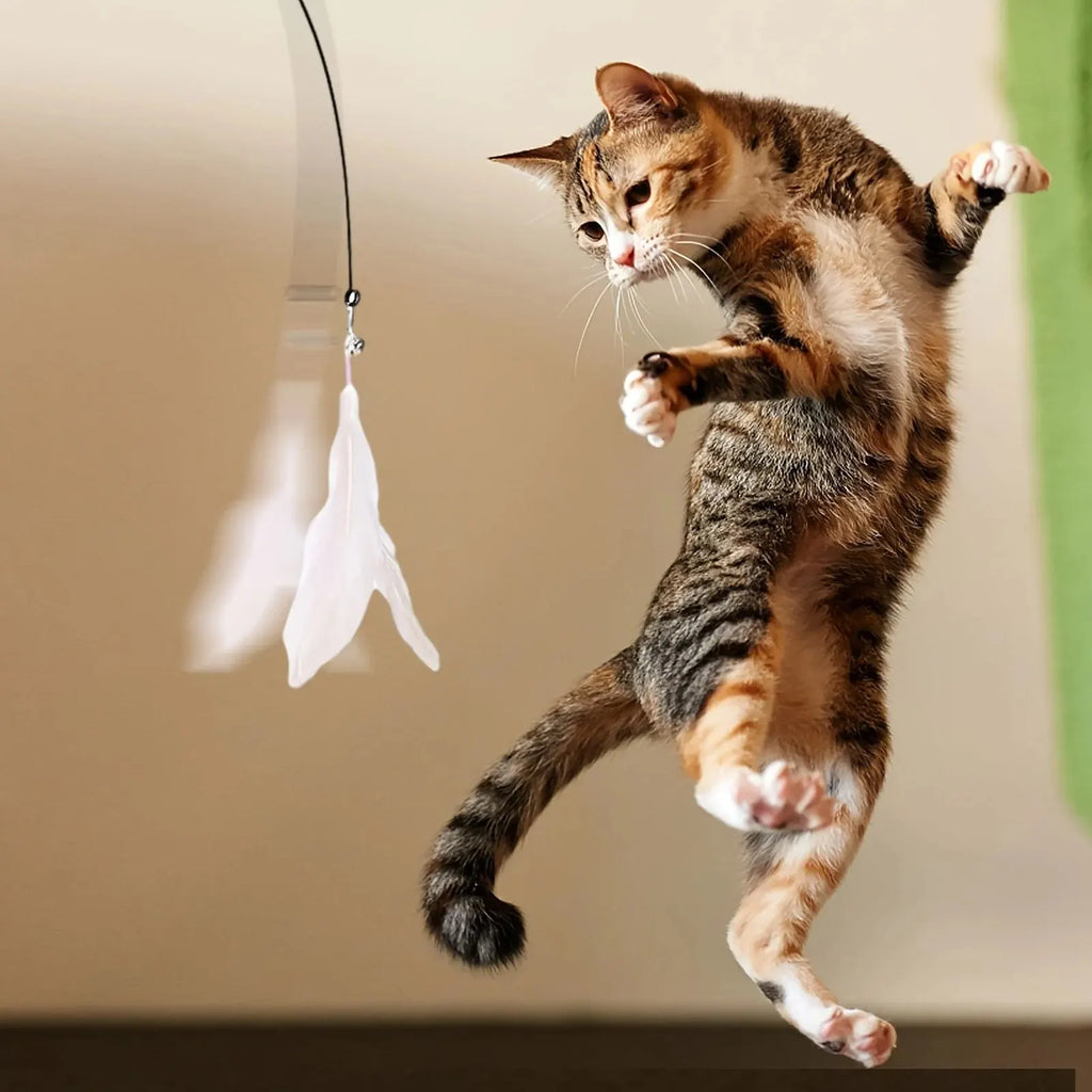 CURAPETS Interactive Cat Teaser Wand