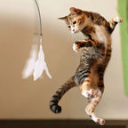 CURAPETS Interactive Cat Teaser Wand
