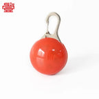 CURAPETS Luminous USB Safety Tag