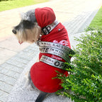 CURAPETS Everyday Harness & Leash Set