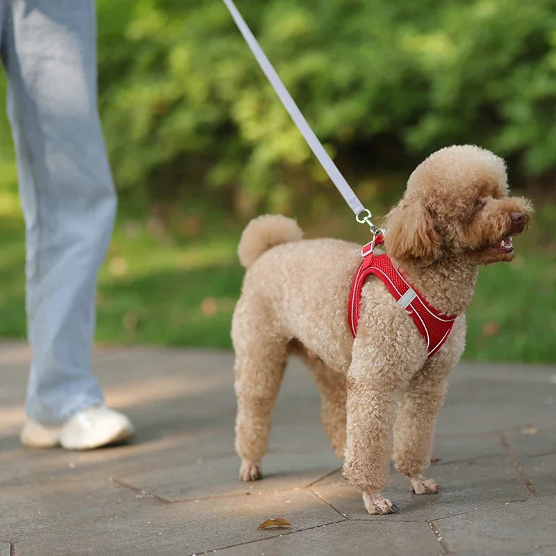 CURAPETS Reflective Puppy Harness & Leash Set