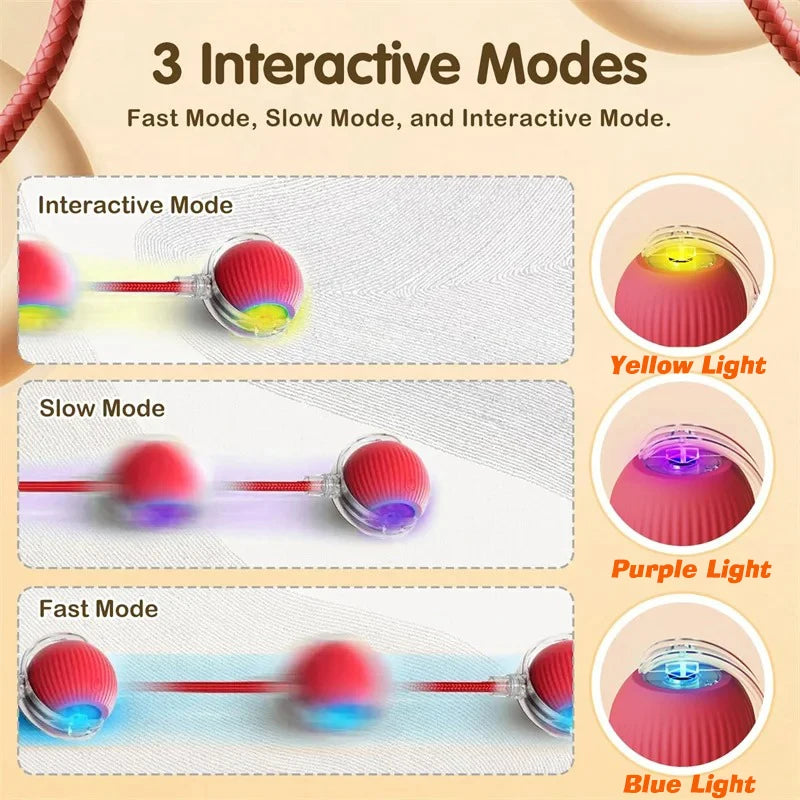 CURAPETS Smart Rolling Interactive Pet Ball