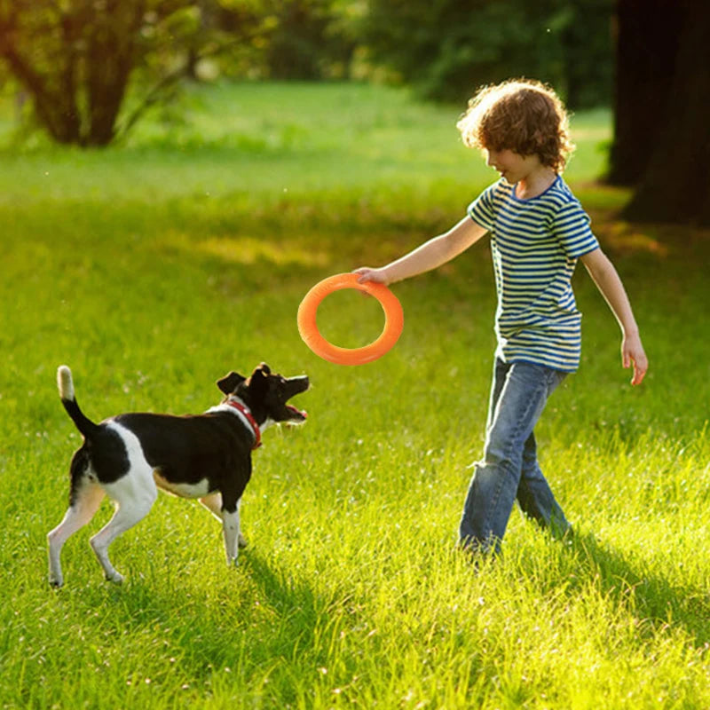 CURAPETS Ring Puller Dog Training Toy